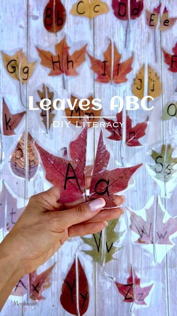 Letters Activity, Name Activities Preschool, Kindergarten Montessori, Crunchy Leaves, Montessori Homeschool, Fall Kindergarten, Preschool Speech, Alphabet Matching, Preschool Special Education