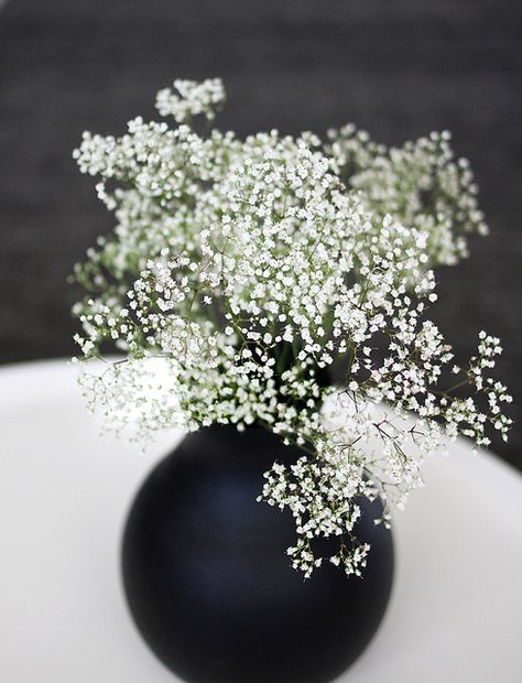 Black And White Wedding Theme, My Camera Roll, Baby S Breath, Moon Garden, Black Vase, White Vases, Flowers Nature, 그림 그리기, Pretty Flowers