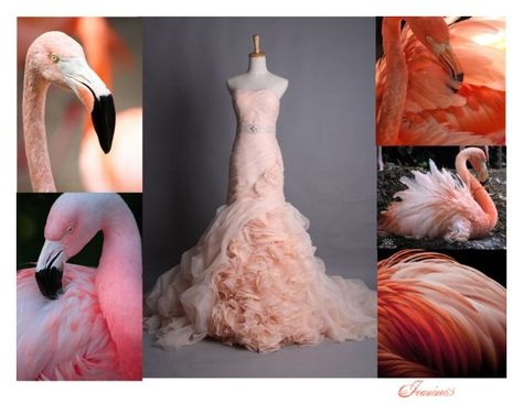 Flamingo Inspired Dress, Flamingo Fashion Design, Coutour Dresses, Flamingo Fashion, Flamingo Pictures, Flamingo Color, Flamingo Fabric, Illustration Collage, Fashion Illustration Collage