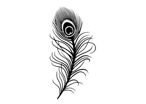 Steven Noble Illustrations: Peacock Feather Peacock Feather Black And White, Pickock Feather Tattoo, Simple Peacock Feather Tattoo, Black Peacock Feather Tattoo, Peacock Feather Tattoo Black And White, Black And White Peacock Tattoo, Peacock Tattoo Black And White, Peacock Feathers Tattoo, Peacock Feather Tattoo Design