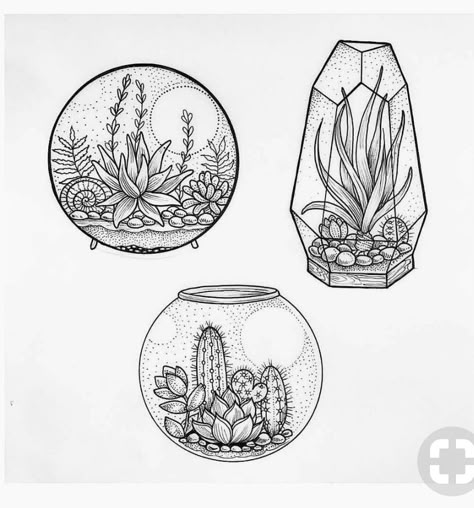 Drawing Black and white Succulent Tattoo, Succulents Drawing, Kunst Tattoos, Tattoo Zeichnungen, Succulent Art, Cat Tattoos, Beautiful Sketches, Tiny Tattoo, Illustration Photo