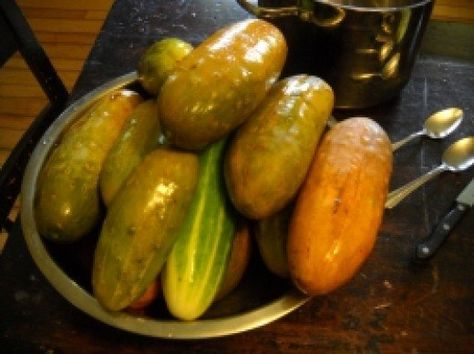 Ripe Cucumbers for Making Tongue Pickles Cucumber Tongue Pickles Recipe, Ripe Cucumber, Pickles Cucumbers, Pickling Cucumbers Recipe, Refrigerator Pickle Recipes, Pickle Recipes Homemade, Canning Jam Recipes, Canning Fruit, Home Canning Recipes