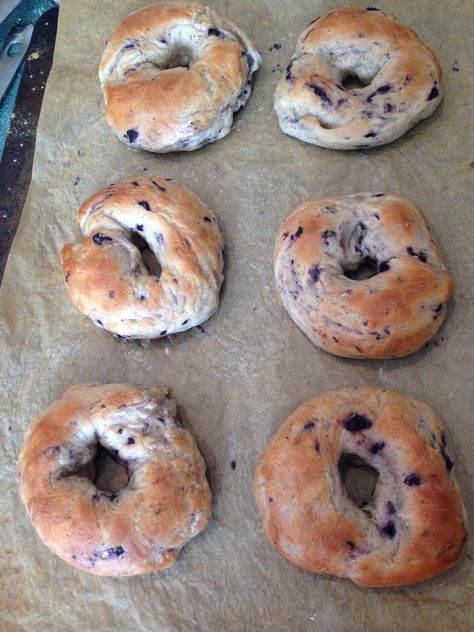 Blueberry Bagel Recipe, Blueberry Bagels, Kitchenaid Recipes, Bagel Recipes, Bagel Recipe Easy, Bread Crackers, Blueberry Bagel, Breakfast Donuts, Bagel Toppings