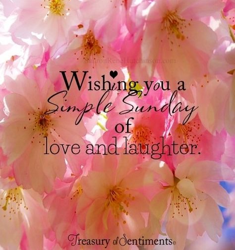 Wishing you a simple Sunday of love and laughter. Happy Sunday Pictures, Sunday Greetings, Sunday Pictures, Sunday Images, Sunday Love, Weekday Quotes, Weekend Quotes, Happy Sunday Quotes, Blessed Sunday