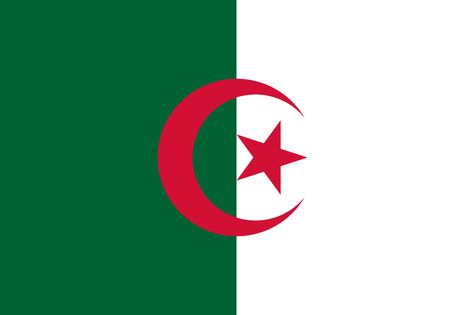 Algerian Flag, Algeria Flag, We Are The World, African Countries, Flags Of The World, State Flags, Libya, The Flag, National Flag