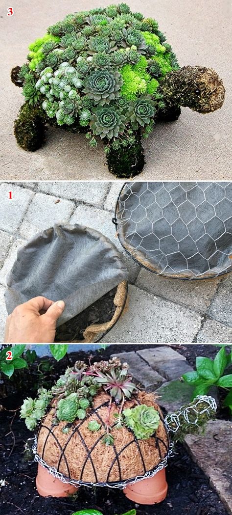 Diy Turtle Planter, Turtle Head Plant, Succulent Jellyfish Diy, Diy Succulent Turtle Planter, Turtle Planter Succulents, Terrarium Centerpiece, Topiary Diy, Garden Planter Boxes, Deco Champetre