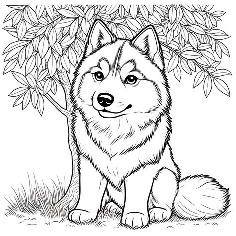 Siberian Husky under a tree (free printable PDF black-and-white line drawing coloring page suitable for all, from beginners to advanced learners, including children, teens, adults, and seniors) Husky Coloring Page, Golden Retriever Colors, Husky Drawing, Colouring Pics, Under A Tree, Coloring Pages Free Printable, Black And White Lines, German Shorthaired Pointer, Tree Free