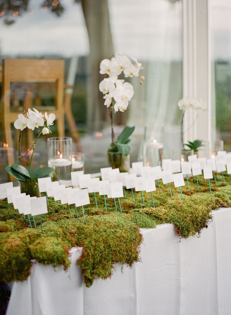 Candles On Wedding Tables, Green And Cream Wedding, Card Displays, English Garden Wedding, 2025 Wedding, Woodsy Wedding, Palm Beach Wedding, Orchid Wedding, Fresh Color Palette