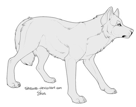 WOLF 5 Wolf Lineart, Wolf Concept, Wolf Base, Hair Wings, Wolf Drawings, Canine Drawing, Wolf Mask, Wolf Drawing, No Strings Attached