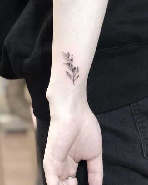 49+ Beautiful Olive Branch Tattoo Designs and Meaning For 2019 Branch Wrist Tattoo, Tiny Tree Tattoo, Olive Tree Tattoos, Olive Tattoo, Tree Branch Tattoo, Athena Tattoo, Olive Branch Tattoo, Branch Tattoo, Tattoo Girls