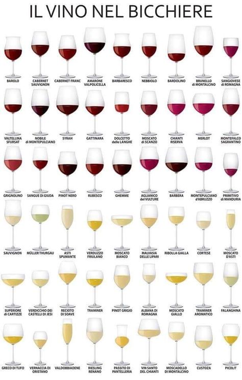 Types Of Wine Glasses, Wine Mixed Drinks, Wine Chart, Wine Cheese Pairing, Wine Glassware, Different Types Of Wine, Making Wine, Wine Knowledge, Types Of Glasses