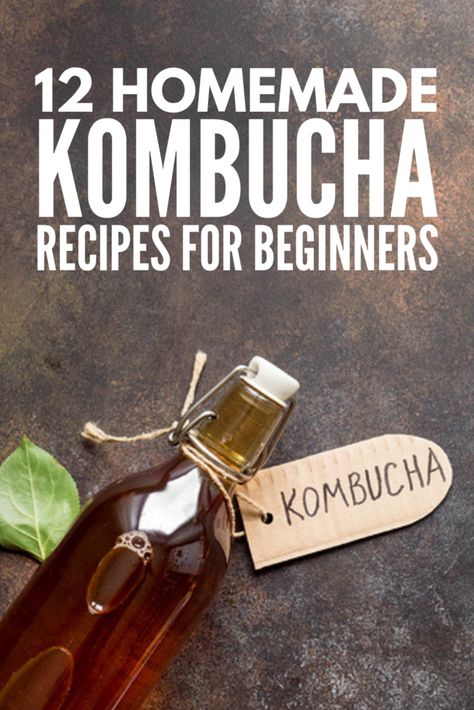 Shrimp Benefits, Health Benefits Of Grapefruit, Kombucha Recipes, Strawberry Health Benefits, Kombucha Benefits, Good Brain Food, Cinnamon Health Benefits, How To Brew Kombucha, Homemade Kombucha