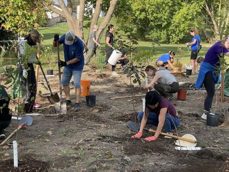 Meanwhile, in Kiwanis Community Park, 60 volunteers helped plant 620 new trees to enhance the city’s urban forest canopy as part of Tree Canada’s Community Tree Grant program and the Trees 4 Peterborough initiative. Helping The Environment, Recruitment Marketing, Event Advertising, Forest Canopy, Urban Forest, Fairs And Festivals, Community Park, Business Lifestyle, Community Business