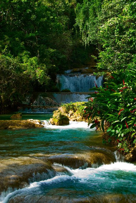 Jamaica waterfalls. Jamaica cascade waterfalls, Negril , #Sponsored, #waterfalls, #Jamaica, #Negril, #cascade #ad Jamaica Waterfalls, Jamaica Negril, Beautiful Beach Pictures, Negril Jamaica, Cascade Waterfall, Negril, Beautiful Beaches, Beach Pictures, Jamaica