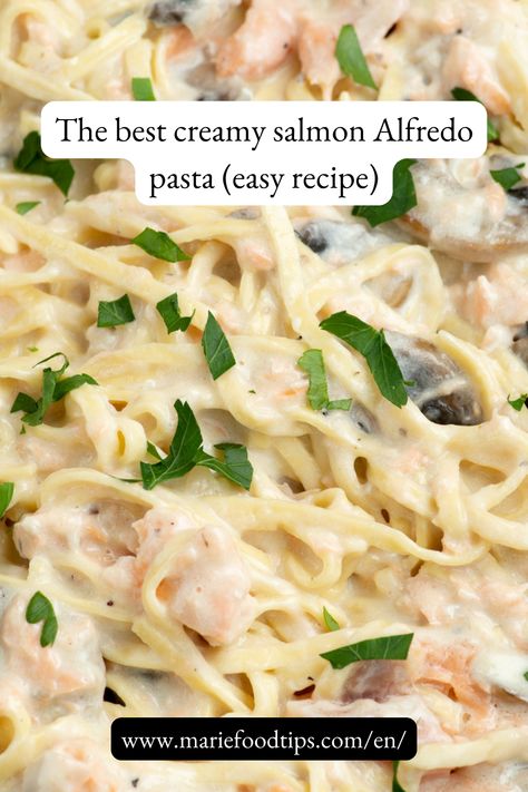 On your table within 20 minutes, this salmon Alfredo pasta is the perfect cozy and lazy weeknight meal! It combines a deliciously creamy sauce, tender salmon, perfectly cooked pasta and tasty mushrooms. The dream, I know... Salmon Alfredo Pasta, Salmon Alfredo, Creamy Salmon, Pasta With Alfredo Sauce, Brazilian Dishes, Pasta Easy, Fettuccine Alfredo Recipes, Cooked Pasta, Salmon Pasta