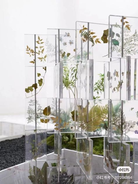 Exhibition Models, Science Museum, Glass Boxes, Museum Exhibition, Transparent Design, Display Design, Architecture Model, Beautiful Packaging, Exhibition Design