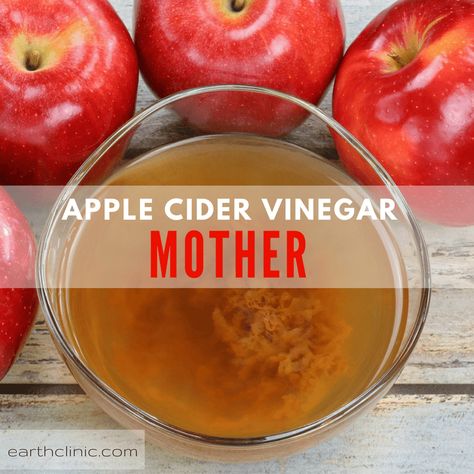 The Mother in Apple Cider Vinegar Apple Cider Vinegar Mother, What Causes Acid Reflux, Cider Vinegar Benefits, Acid Reflux In Babies, Apple Cider Vinegar Benefits, Stop Acid Reflux, Reflux Symptoms, Apple Cider Benefits, Acid Reflux