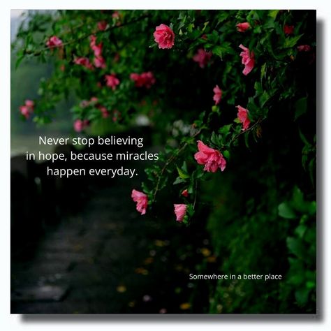 Miracles Happen Everyday, Support Friends, Never Stop Believing, Miracles Happen, Inspirational Quotes Motivation, Pretty Words, So True, Motivational Quotes, Spirituality