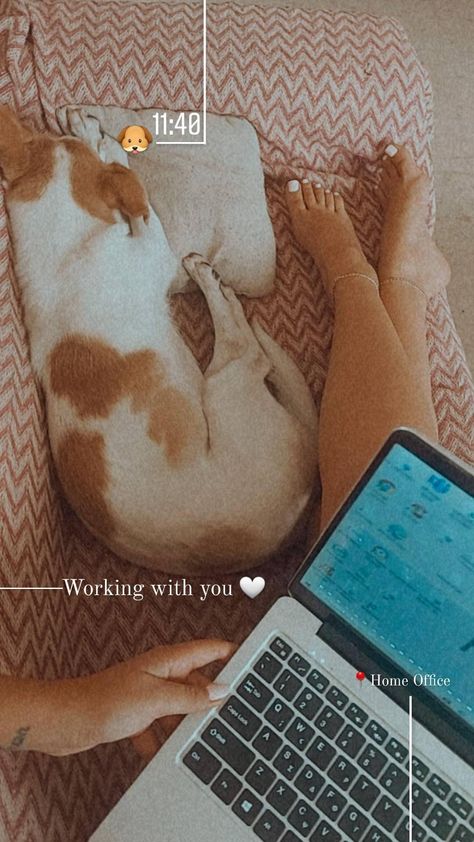 Working From Home Instagram Story, Work From Home Snapchat Stories, Work From Home Instagram Story, Office Work Story Instagram, Laptop Work Snapchat Story, Dog Story Ideas, Dog Ig Story, Office Instagram Story, Frock Photos