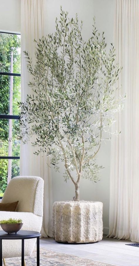 Faux Olive Trees, Tv Gallery Wall, Indoor Tree, Faux Olive Tree, Quirky Home Decor, Olive Trees, House Plants Decor, Olive Tree, Cheap Decor