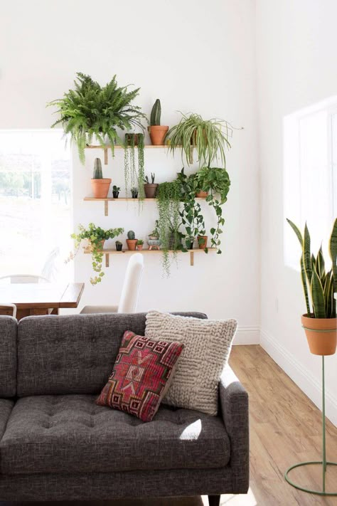 How to Create a Killer Garden Wall in Your Apartment Contemporary Living Room Design, Minimalist Dekor, Apartment Plants, Living Room Plants, Walled Garden, Room With Plants, Apartment Garden, Design Studios, Cool Apartments