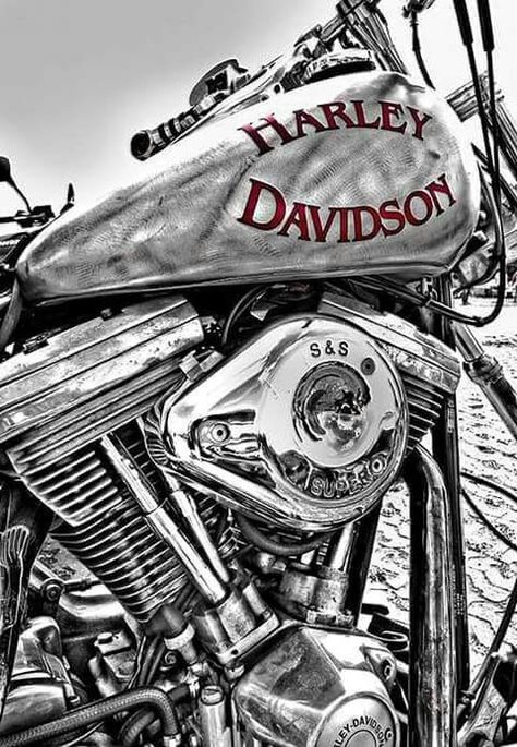 HD Motocykle Harley Davidson, Harley Davidson Decals, Motorcycle Art Painting, David Mann Art, Harley Davidson Scrambler, Harley Davidson Engines, Motorbike Art, Harley Davidson Artwork, Motos Vintage