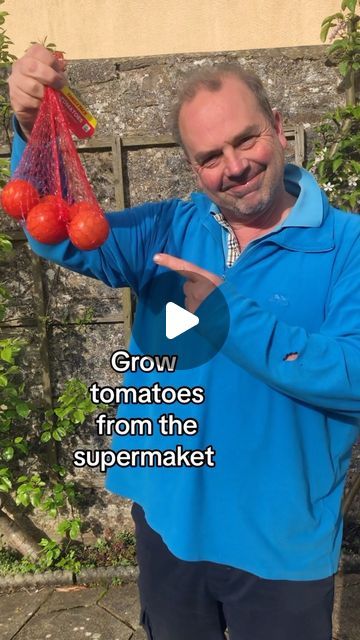 Tomatoes Growing Tips, Planting Tomatoes In Garden, How To Grow Heirloom Tomatoes, Best Tomatoes To Grow For Sauce, What Grows Well With Tomatoes, Beef Steak Tomatoes Growing, Growing San Marzano Tomatoes, Garden Companion Planting, Celebrity Recipes