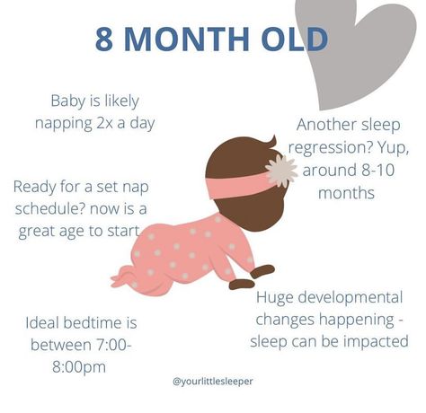 8 Month Old Milestones, 8 Month Milestones Baby, 8 Month Milestones, Baby Routines, Month Milestones, Bedtime Routine Baby, Baby Routine, Baby Information, Baby Help