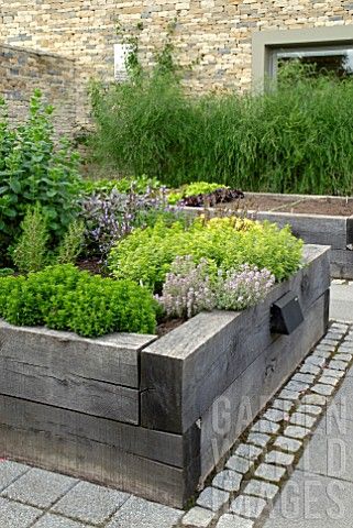 Plan Potager, Diy Raised Garden, Raised Garden Beds Diy, Veg Garden, Have Inspiration, The Secret Garden, Veggie Garden, Edible Garden, Kitchen Garden