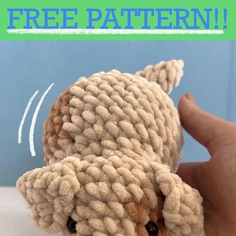 Lala Cloud Crochet on Instagram: "🐶 No-sew Puppyloaf!!🐶 This pattern is sooo cute, simple and fun!! I feel like making these puppies has turned me into a total dog person! Cats who? But seriously, I think you’ll fall in love with your little puppyloaf!! ❤️Lala - - Cannot thank my testers enough!! They made this pattern BETTER for you guys and brought it to LIFE!!! I fell more in love with this pattern when I saw their versions! Thank you sooooo much: @knottyknat @progress_w_amigurumi @crochar_creations @skyhavencrochet @kool_kats_crochet @stitchin_belle @crochetandcoffeebeans @nooks_hooks - - #crochet #crochetersofinstagram #freecrochetpatterns #freepatternsamigurumi #amigurumi #crochetpuppy" Puppy Crochet Pattern, No Sew Crochet Amigurumi, Crochet Dog Patterns, Dog Pattern, Crochet Dog, Dog Person, I Fall, Crochet Amigurumi, Free Pattern