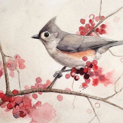 Tufted Titmouse- watercolor Titmouse Tattoo, Tufted Titmouse, Cute Piercings, Bird Drawings, Watercolor Design, Bird Art, Art Room, Watercolour Painting, Artist Inspiration