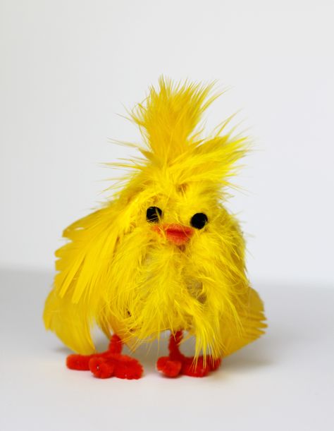 Easter Pfp, Duck Crafts, Duck Pictures, Easter Specials, Baby Chickens, Easter Chick, Holiday Crafts For Kids, Easter Craft, Feather Crafts