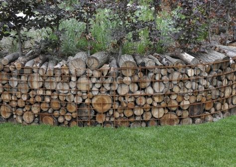 Gabion with firewood Log Retaining Wall, Wood Log Ideas, Log Ideas, Noise Barrier, Gabion Baskets, Natural Fence, Gabion Wall, Lake Cabin, Wood Logs