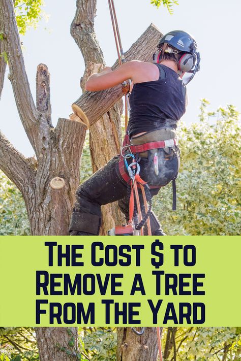 How Much Does it Cost to Remove a Tree From The Yard? Tree Removal Cost, Urban Forestry, Natural Resource Management, Tree Removal Service, Stump Removal, Tree Felling, Walnut Tree, Tree Removal, Diy Tree