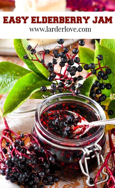 Elderberry Jam Recipe, Elderberry Jelly Recipe, Homemade Elderberry, Elderberry Recipes, Freezer Jam Recipes, Elderberry Gummies, Grape Recipes, Elderberry Syrup, Jam And Jelly