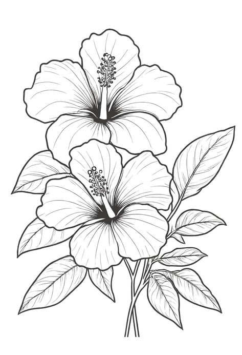 Premium Photo | A drawing of a hibiscus flower with leaves coloring book illustration Hibiscus Drawing, Plus Size Tutu, Leaves Coloring, Seni Mural, Flower With Leaves, Adults Coloring, Flower Art Drawing, Books For Children, Flower Sketches