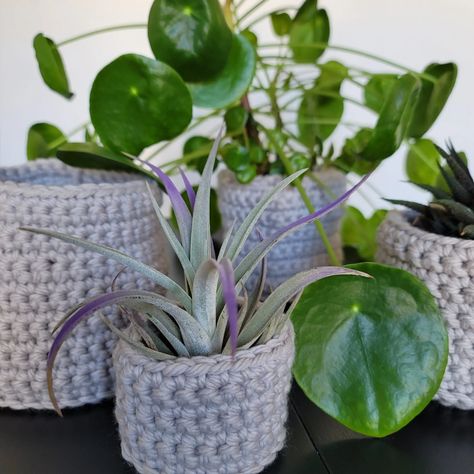 Cache-pots gigognes, un patron de crochet gratuit - ACCROchet Crochet Basket Patterns, Easy Crochet Basket Pattern, Easter Basket Pattern, Pot Crochet, Crochet Easter Basket, Basket Patterns, Yarn Basket, Basket Uses, Terracotta Plant Pots