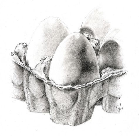 Egg Carton Drawing, Drawing On Egg, Egg Carton Ideas, Tonal Drawing, Egg Carton Art, Drawing Objects, Leaving Cert, Value Drawing, Pencil Drawing Ideas