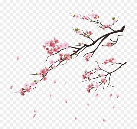 Cherry Blossom Drawing, Pink Blossom Tree, Cherry Blossom Watercolor, Japanese Blossom, Cherry Blossoms Illustration, Cherry Blossom Petals, Cherry Cherry, Cherry Flower, Cherry Blossom Art