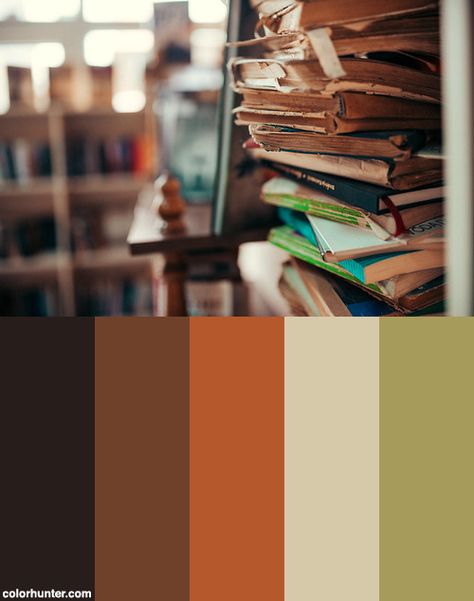 Old Books In The Library. Color Scheme from colorhunter.com Library Aesthetic Color Palette, Old Book Color Palette, Library Colour Scheme, Library Colour Palette, Old Color Palette, Book Colour Palette, Library Color Palette, Book Color Palette, Study Spaces