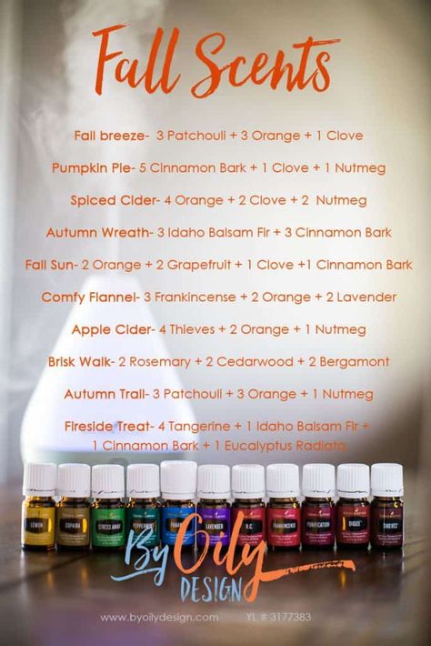 images shows essential oils diffused to make your house smell good in fall. Scent Recipes, Fall Smells, Fall Essential Oils, Essential Oil Diffuser Blends Recipes, Young Living Essential Oils Recipes, Essential Oil Diffuser Recipes, Oil Diffuser Recipes, Essential Oil Blends Recipes, Essential Oil Mixes