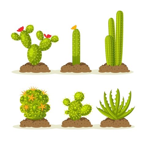 Cactus Planta, Amazon Prime Day Deals, What Time Is, Cactus Plants, Cactus, I Hope, Canning, Plants