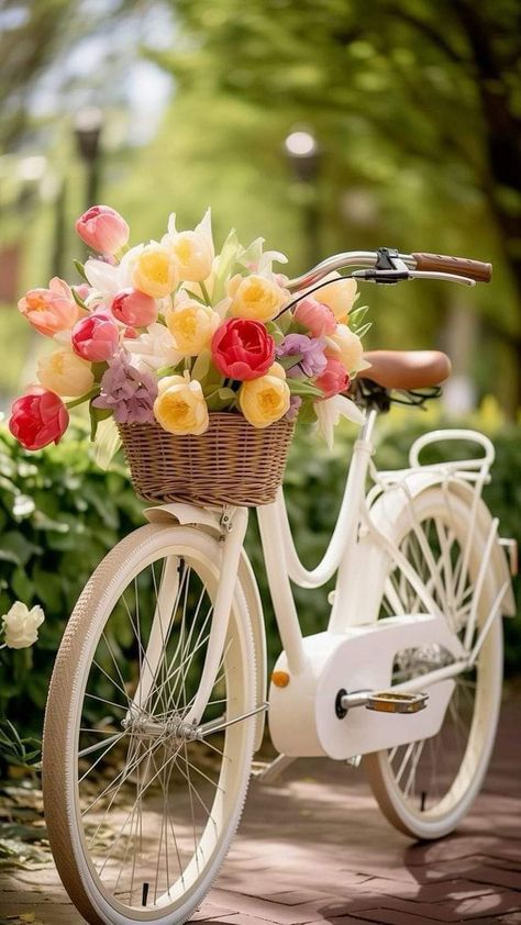 Pretty Bicycle, Bike Planter, Bicycle Photography, Mughal Art Paintings, Rainy Day Aesthetic, Bicycle Painting, Happy Birthday Wishes Images, Pretty Bike, Flower Boutique