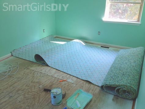 Install Carpet Diy, Replace Carpet, Install Carpet, A Loft Bed, Carpet Diy, Conquering Fear, Carpet Cleaning Business, Indoor Outdoor Carpet, Red Carpet Runner