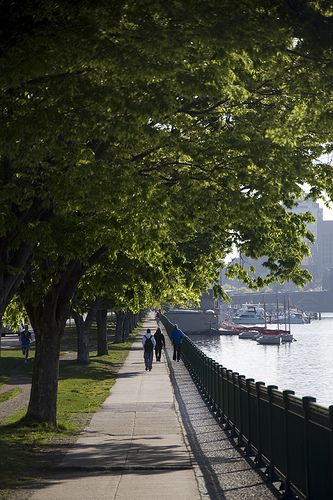 Cambridge MA | Greta Clarke/Moesker | Flickr Boston Charles River, Charles River Boston, Places In Boston, You're My Home, Visiting Boston, Boston Mass, Boston Strong, Boston University, Charles River