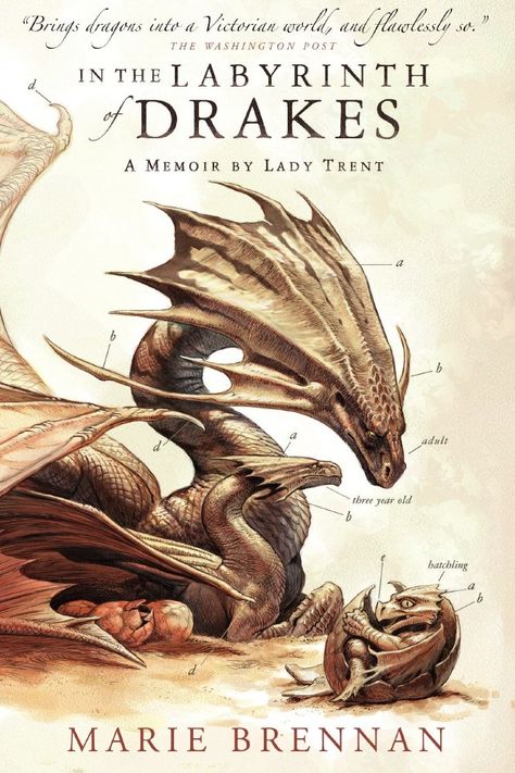 Top 10 Things I want my readers to know about me by Marie Brennan Writing Fantasy, Dragon Series, Cool Dragons, The Labyrinth, Dragon Pictures, Dragon Artwork, Dragon Drawing, Creature Concept Art, Fantasy Dragon