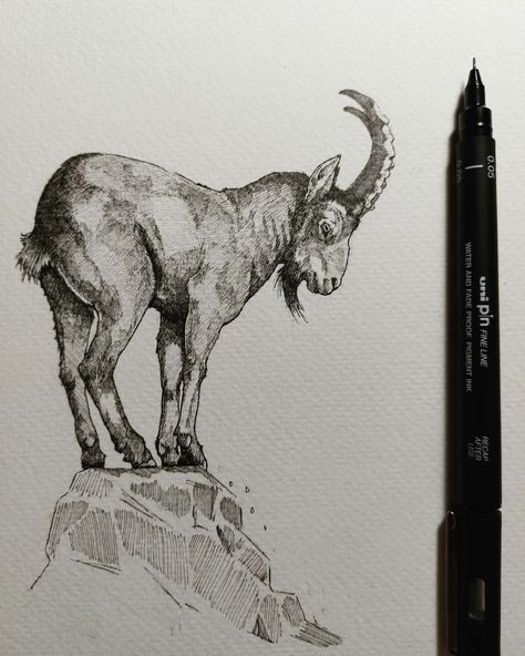 Goat Drawing Realistic, Goat Drawing Sketch, Goat Sketch, Goat Images, Goat Drawing, Paint Animals, Color Unit, Goat Art, Mountain Goat