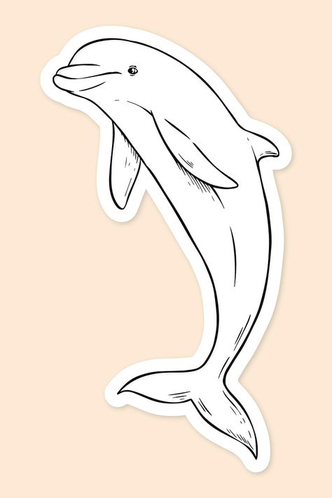 Vintage hand drawn dolphin cartoon black and white illustration | free image by rawpixel.com / Noon Ocean Drawings Aesthetic, Dolphin Aesthetic Drawing, Sea Animal Outline, Drawing Dolphin, Dolphin Outline, Dolphin Cartoon, Cartoon Black And White, Dolphin Drawing, Maria Carla