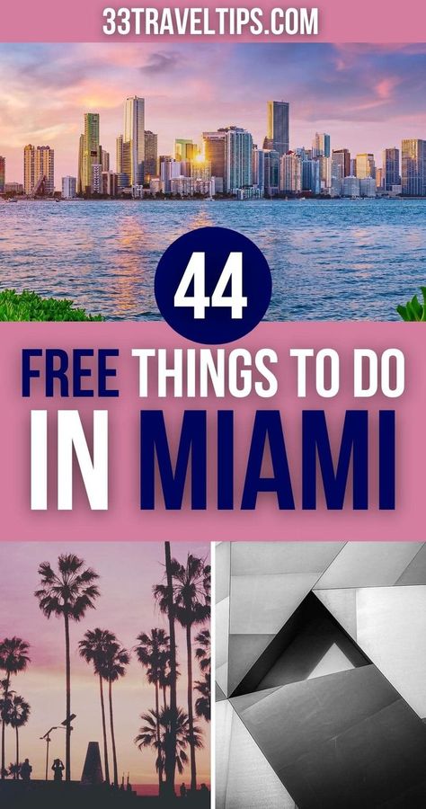 Free Things to Do in Miami Must Do In Miami, Miami Beach Pictures, Places In Miami, Beautiful Places In Usa, Things To Do In Miami, Usa Places To Visit, Miss Florida, Florida Attractions, Drink Shop