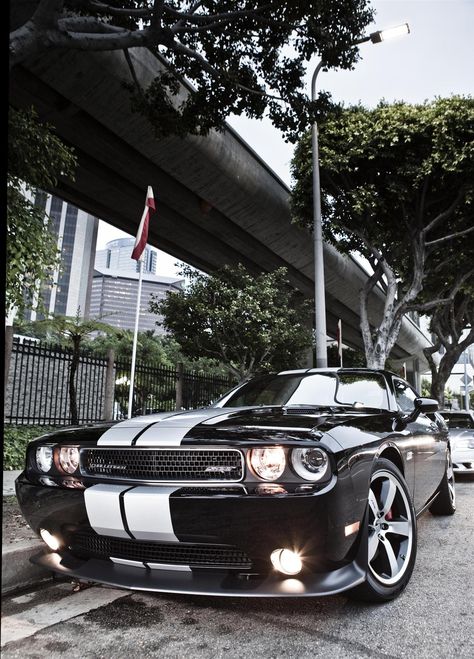 2012 Dodge Challenger SRT8 392 Image. Photo 40 of 50 Challenger Srt8 392, 2019 Dodge Challenger, 2009 Dodge Challenger, Dodge Challenger Srt8, 2012 Dodge Challenger, Challenger Srt8, 2014 Dodge Challenger, Dodge Muscle Cars, Challenger Srt